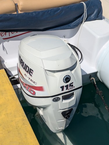 Motore evinrude 115 tec - 115, e