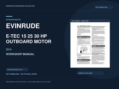 Motore fuoribordo evinrude - motore,