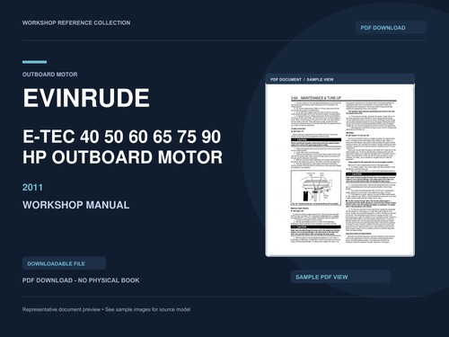 Motore fuoribordo evinrude - motore,
