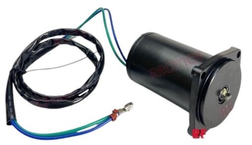 Motore trim tempi evinrude - trim,
