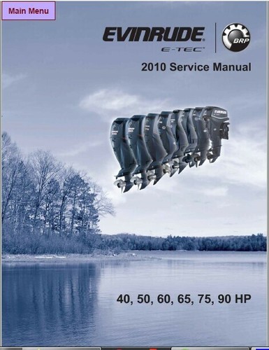 2010 evinrude tec 50 - 50, 60