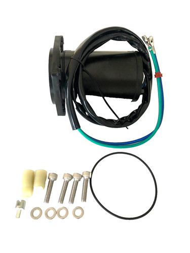 Motore evinrude tec - motore, e-tec