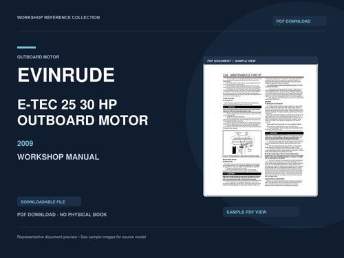 Motore fuoribordo evinrude - fuoribordo,
