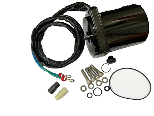 Motore evinrude 30hp 40hp 50hp - 30hp,